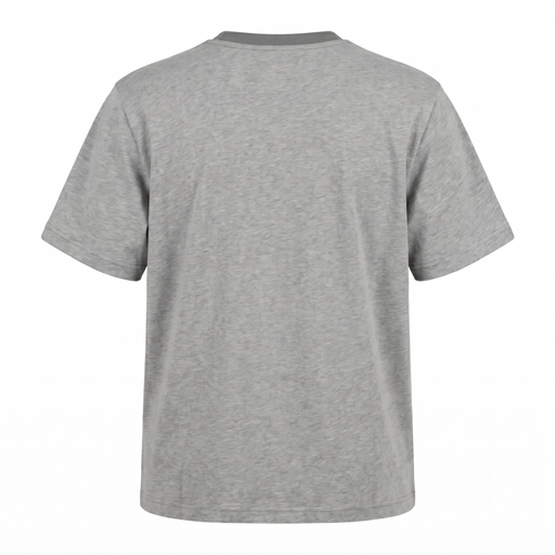 AMI Grey Tee back