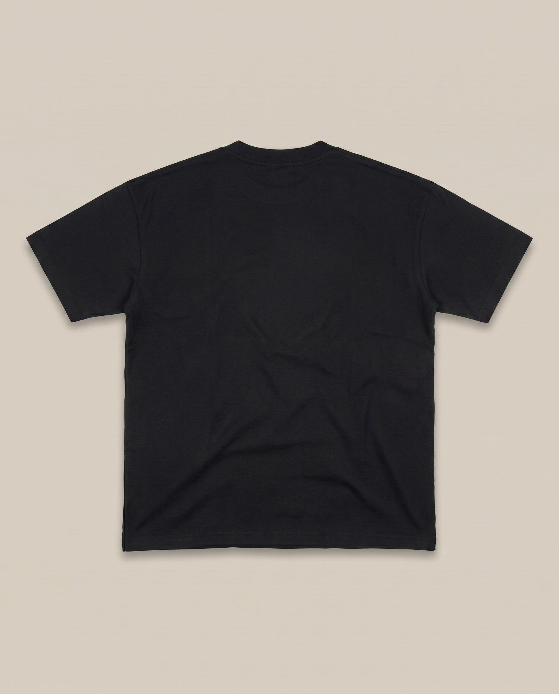 Dior Black Tee (#1) (back)