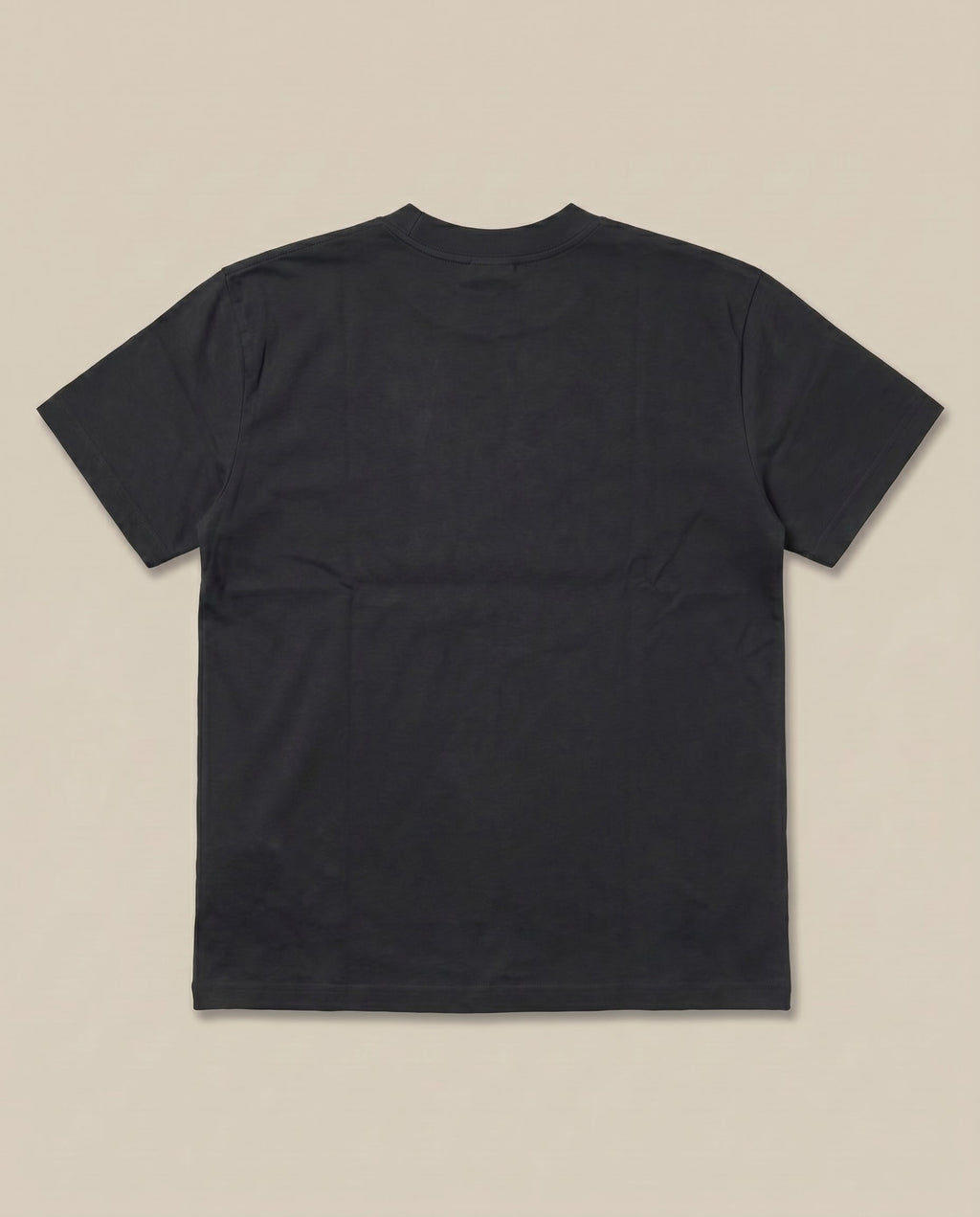 Dior Black Tee (#2) (back)