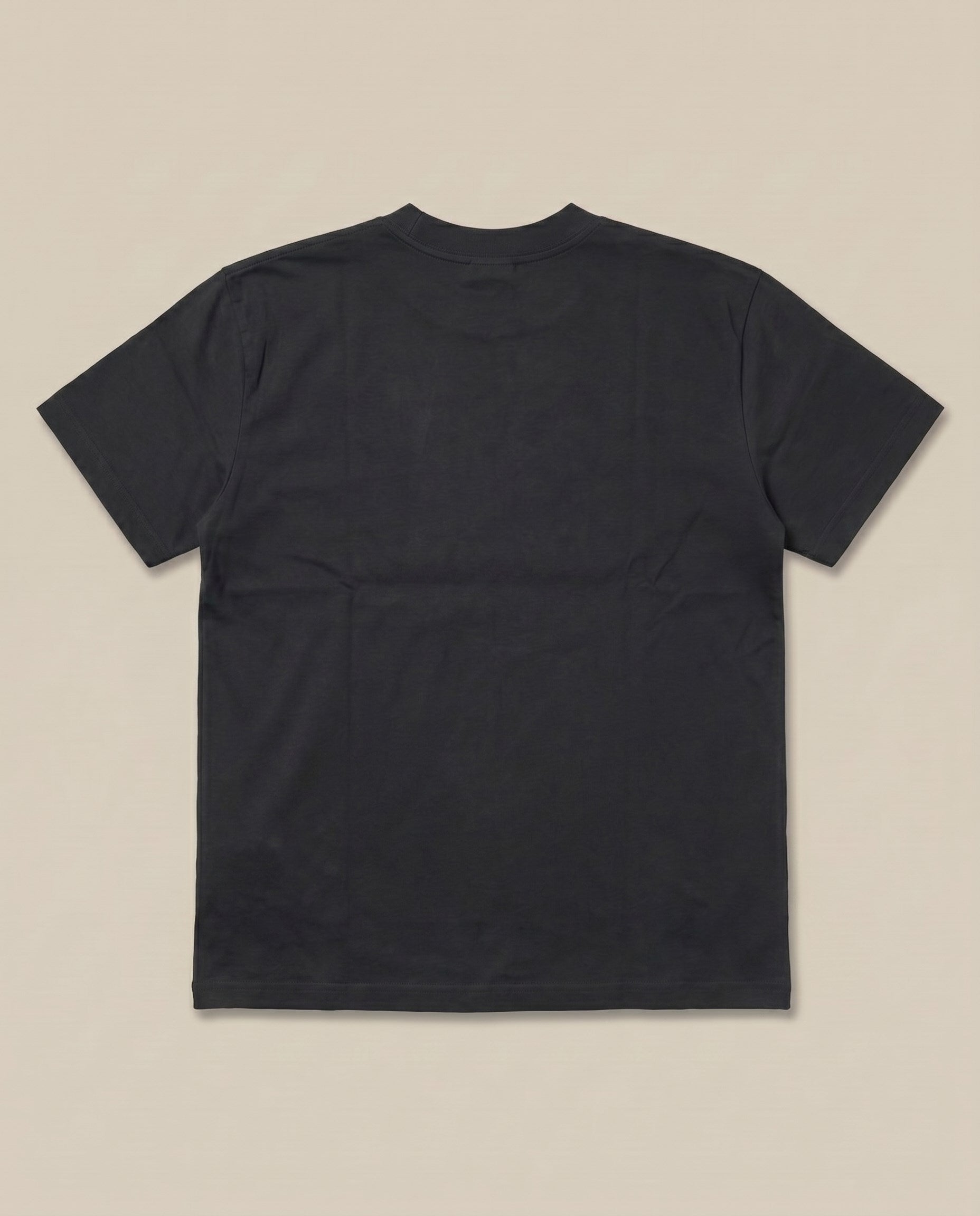 Dior Black Tee (#2) (back)