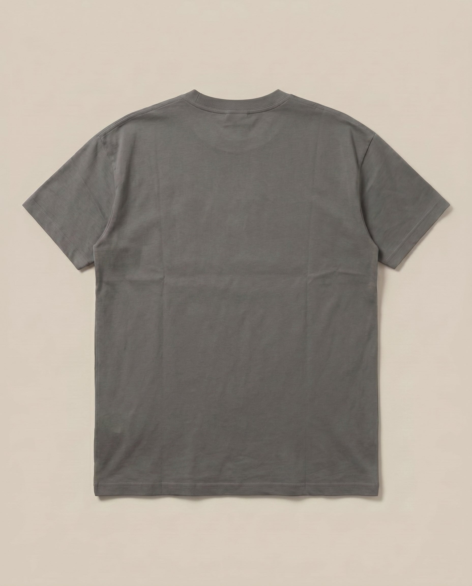 Gucci Grey Tee (back)